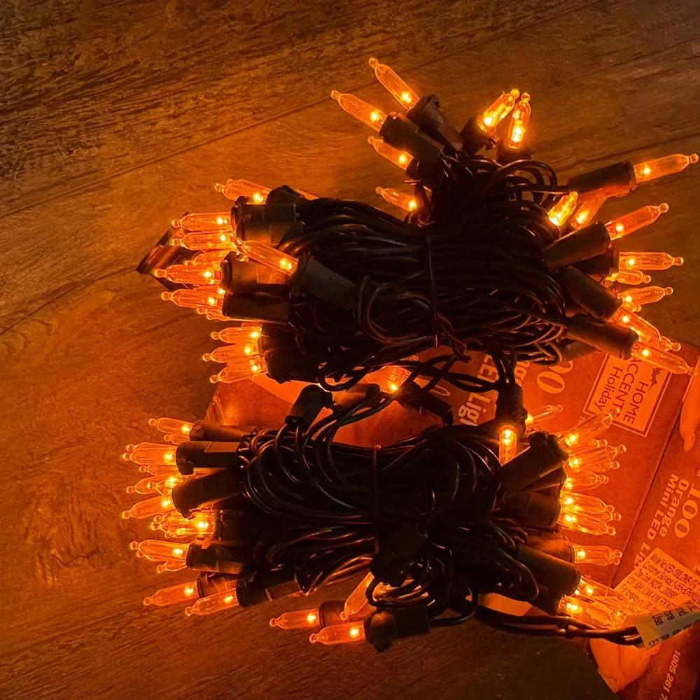 Home Accents Orange LED String Lights